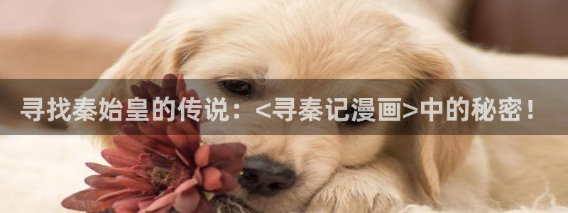 汗汗漫画排行榜：寻找秦始皇的传说：<寻秦记漫画>中的秘密！