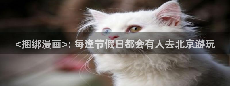 汗汗漫画网站大全：<捆绑漫画>: 每逢节假日都会有人去北京游玩