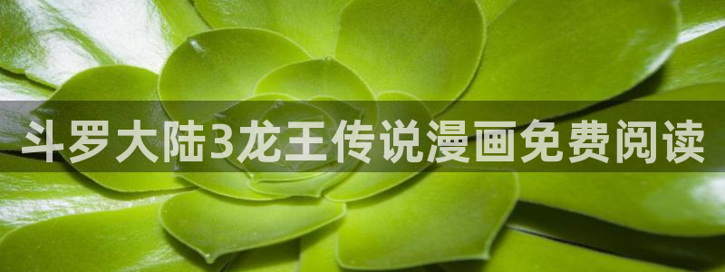 歪歪漫画和汗汗漫画：斗罗大陆3龙王传说漫画免费阅读
