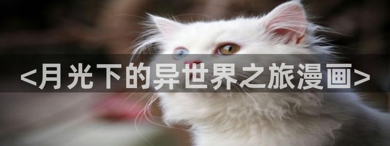 汗汗漫画~羞羞漫画sss