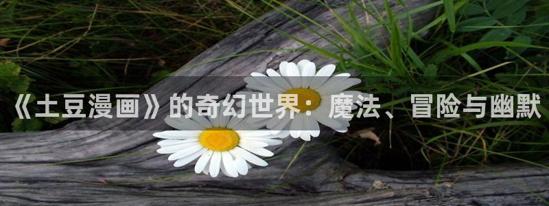 汗汗漫画+cc